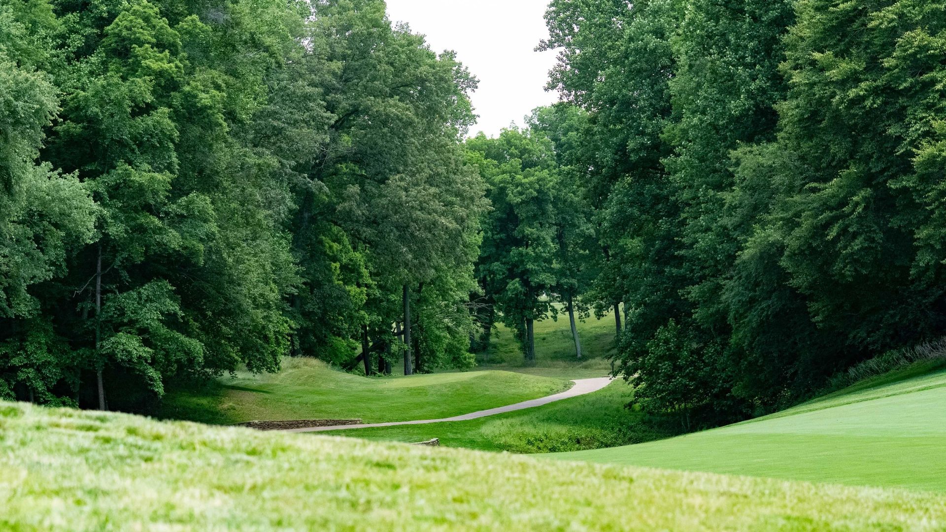 Woodmore HOA Dispute